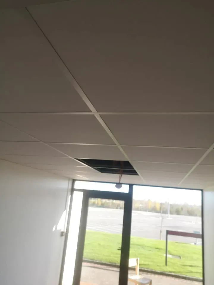 faux plafond (2)
