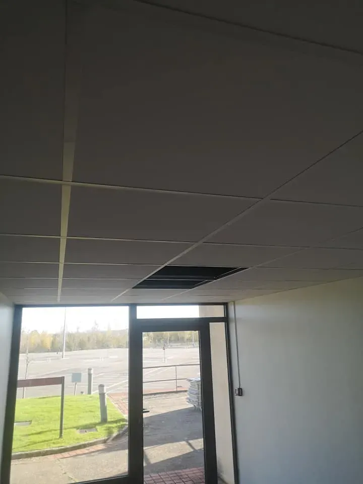 Spécialiste faux plafond à Noé